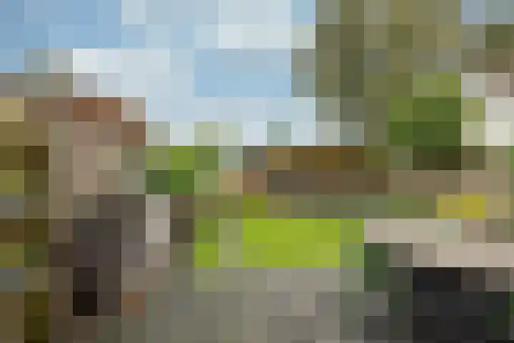 Couwenhoven 4311 Zeist thumbnail 18