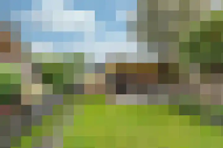 Couwenhoven 4311 Zeist thumbnail 19
