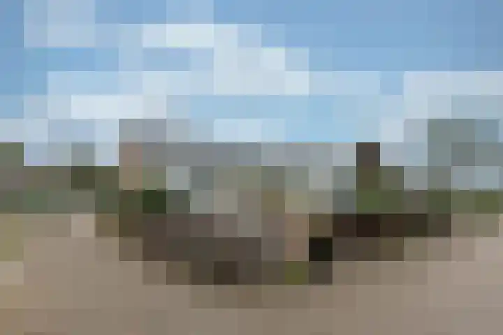 Couwenhoven 4311 Zeist thumbnail 21