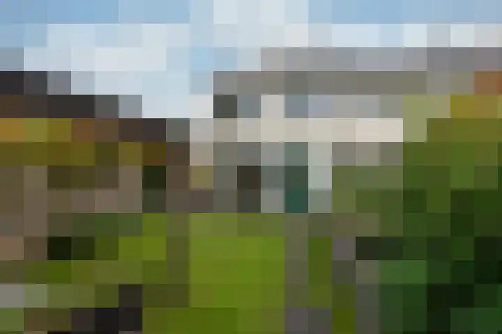 Couwenhoven 4311 Zeist thumbnail 23