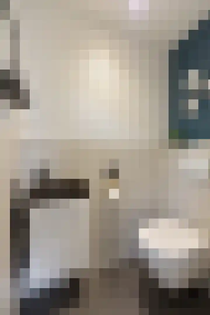 Couwenhoven 4311 Zeist thumbnail 25