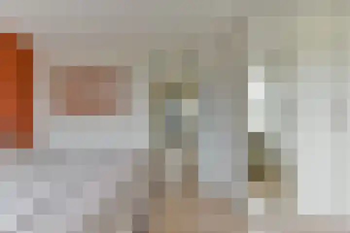Couwenhoven 4311 Zeist thumbnail 28