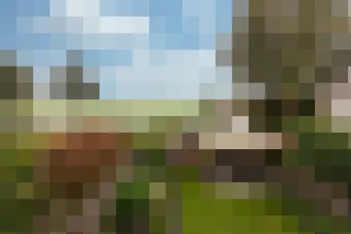 Couwenhoven 4311 Zeist thumbnail 31
