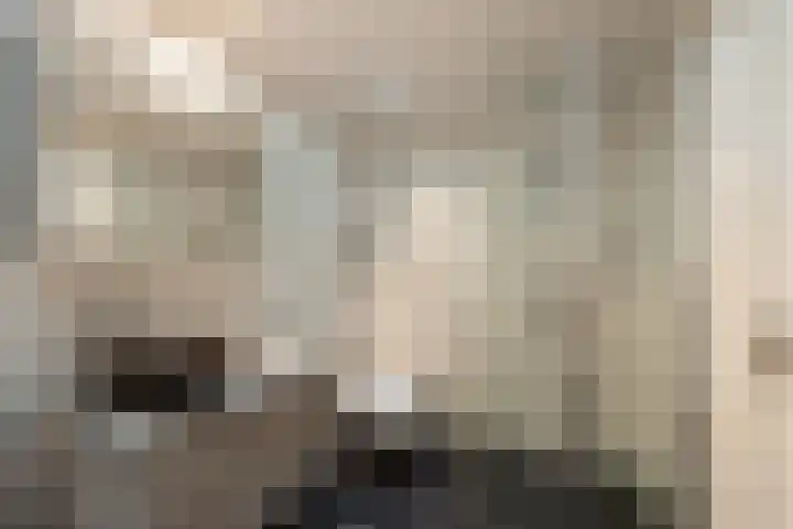 Couwenhoven 4311 Zeist thumbnail 36