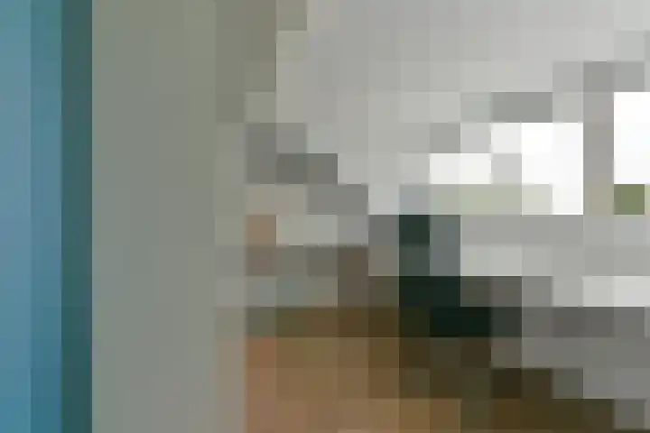 Couwenhoven 4311 Zeist thumbnail 42