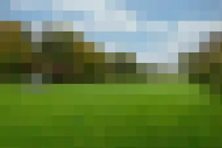 Couwenhoven 4311 Zeist thumbnail 44