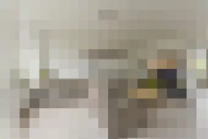 Couwenhoven 4311 Zeist thumbnail 6