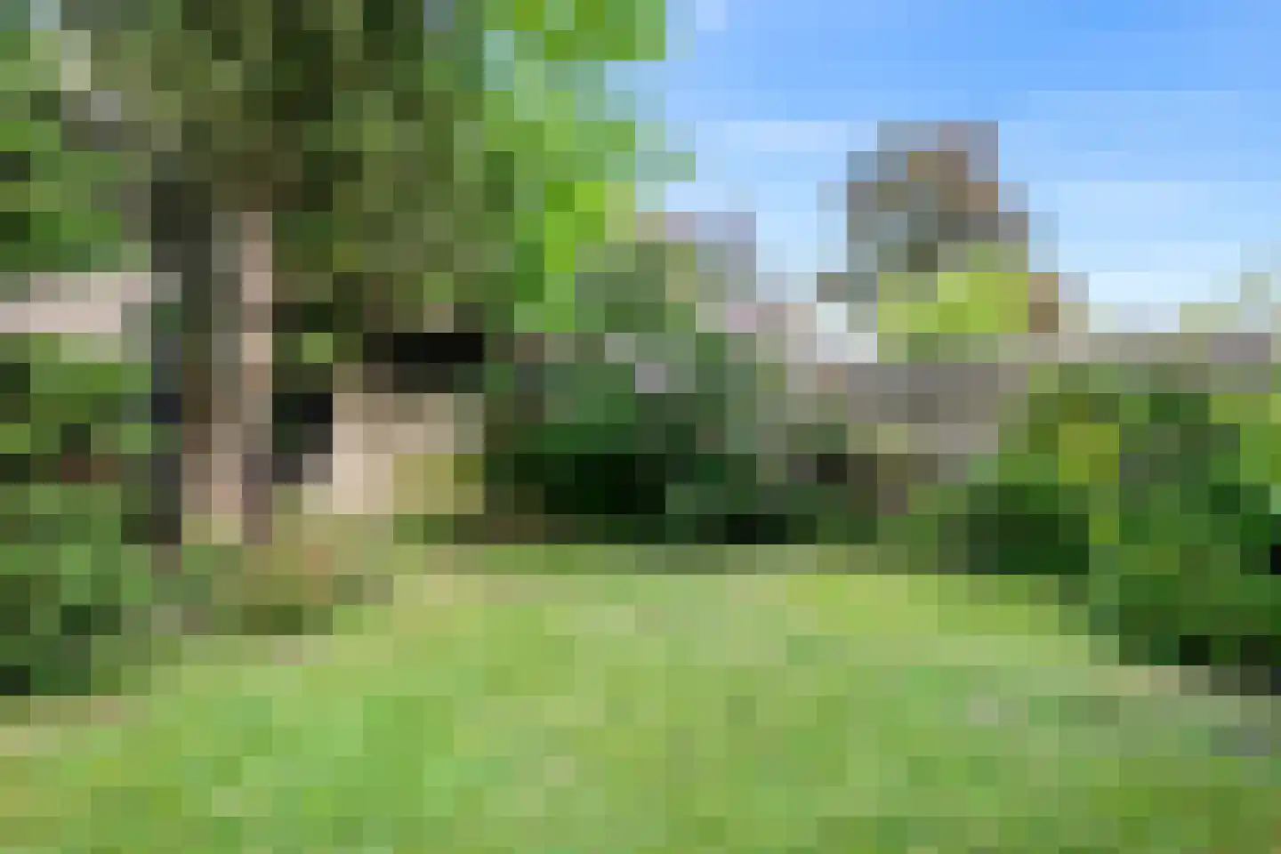 Couwenhoven 4501 Zeist thumbnail 25
