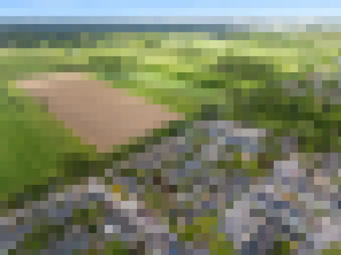 Couwenhoven 4501 Zeist thumbnail 30