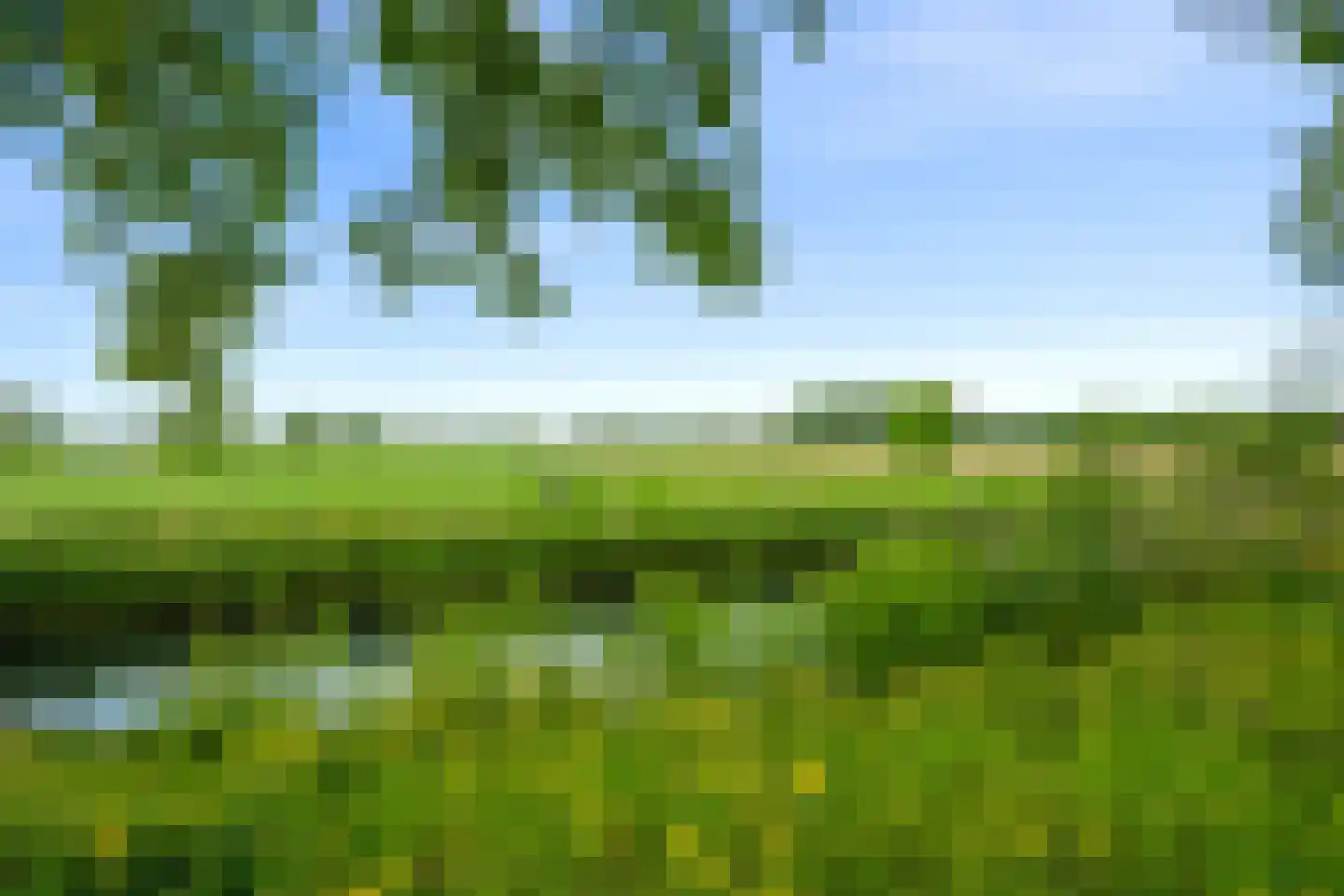 Couwenhoven 4501 Zeist thumbnail 35