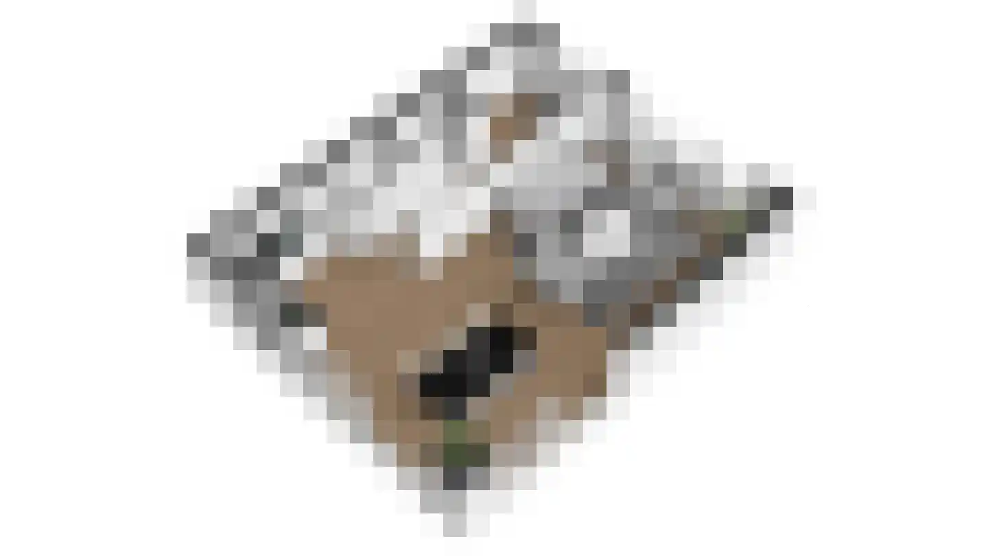 Couwenhoven 4501 Zeist thumbnail 36