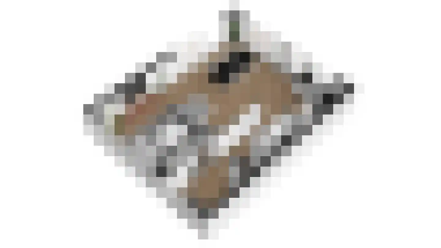 Couwenhoven 4501 Zeist thumbnail 37