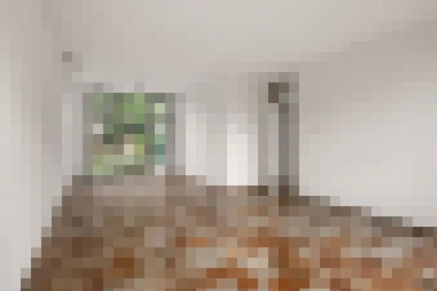 Couwenhoven 4501 Zeist thumbnail 6