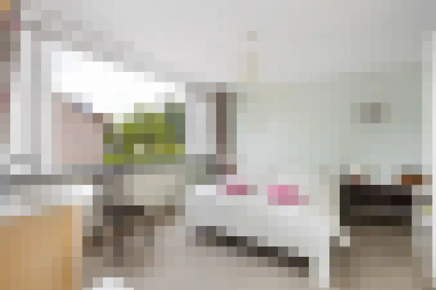 Couwenhoven 5002 Zeist thumbnail 18