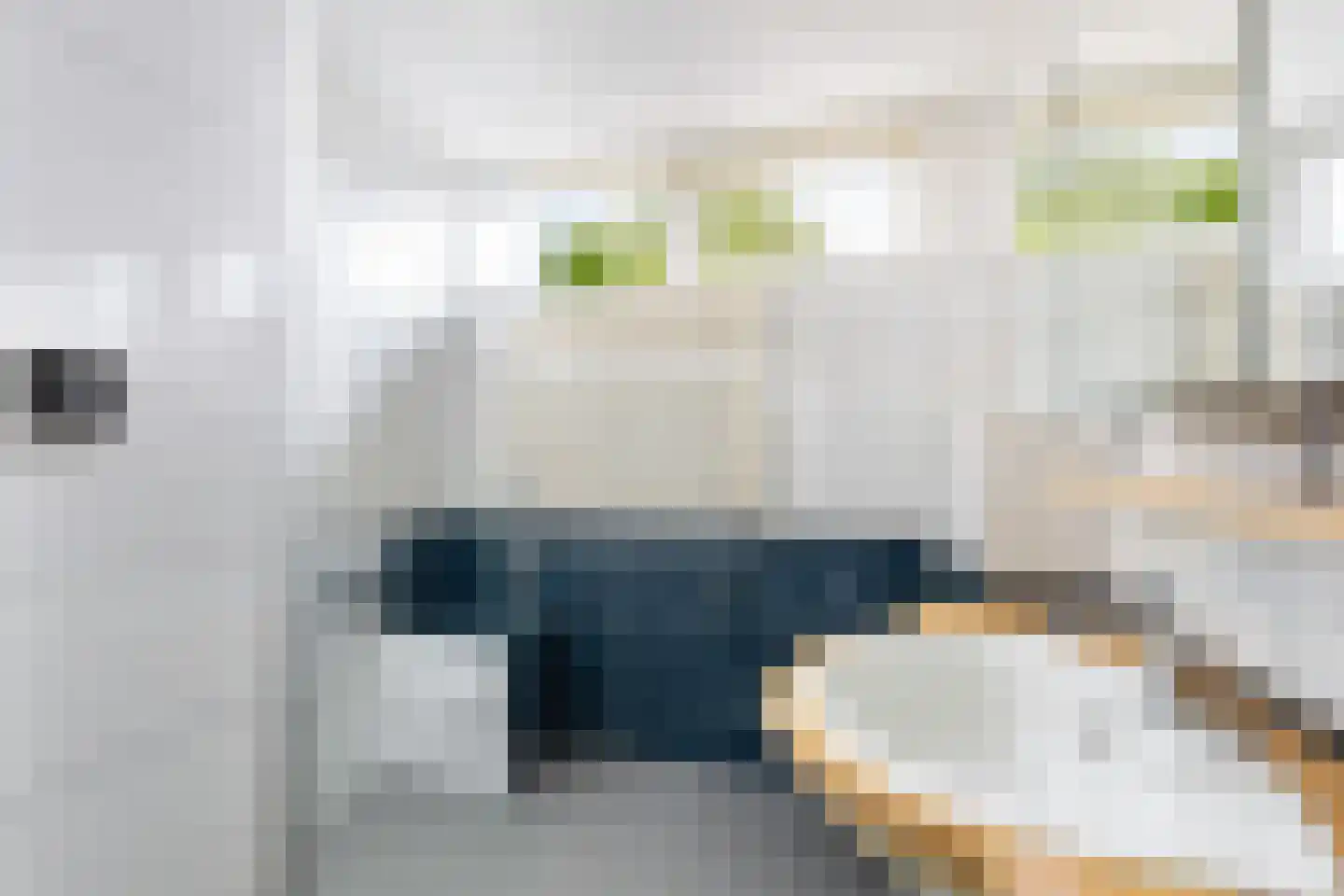 Couwenhoven 5002 Zeist thumbnail 23