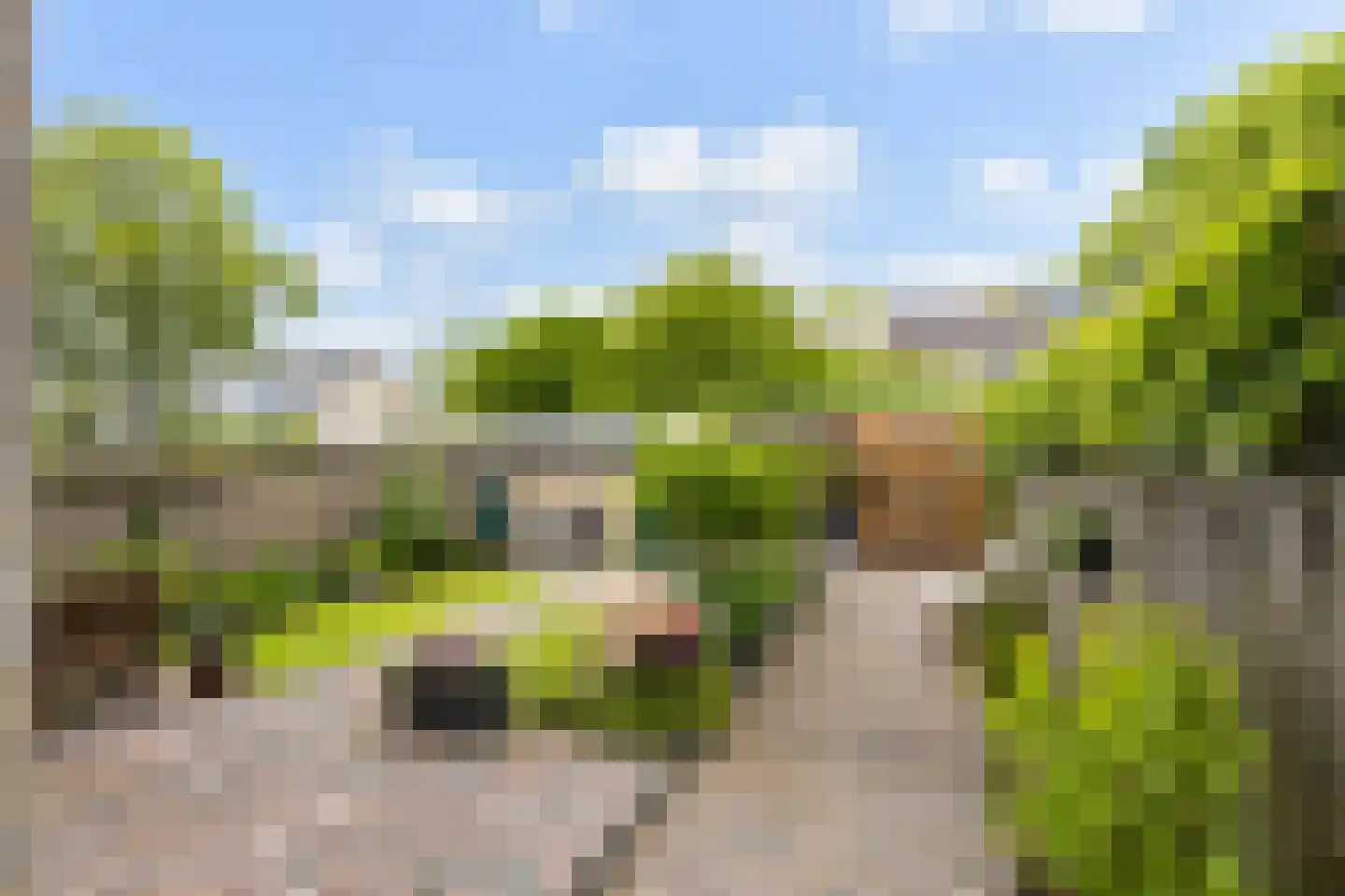 Couwenhoven 5002 Zeist thumbnail 30