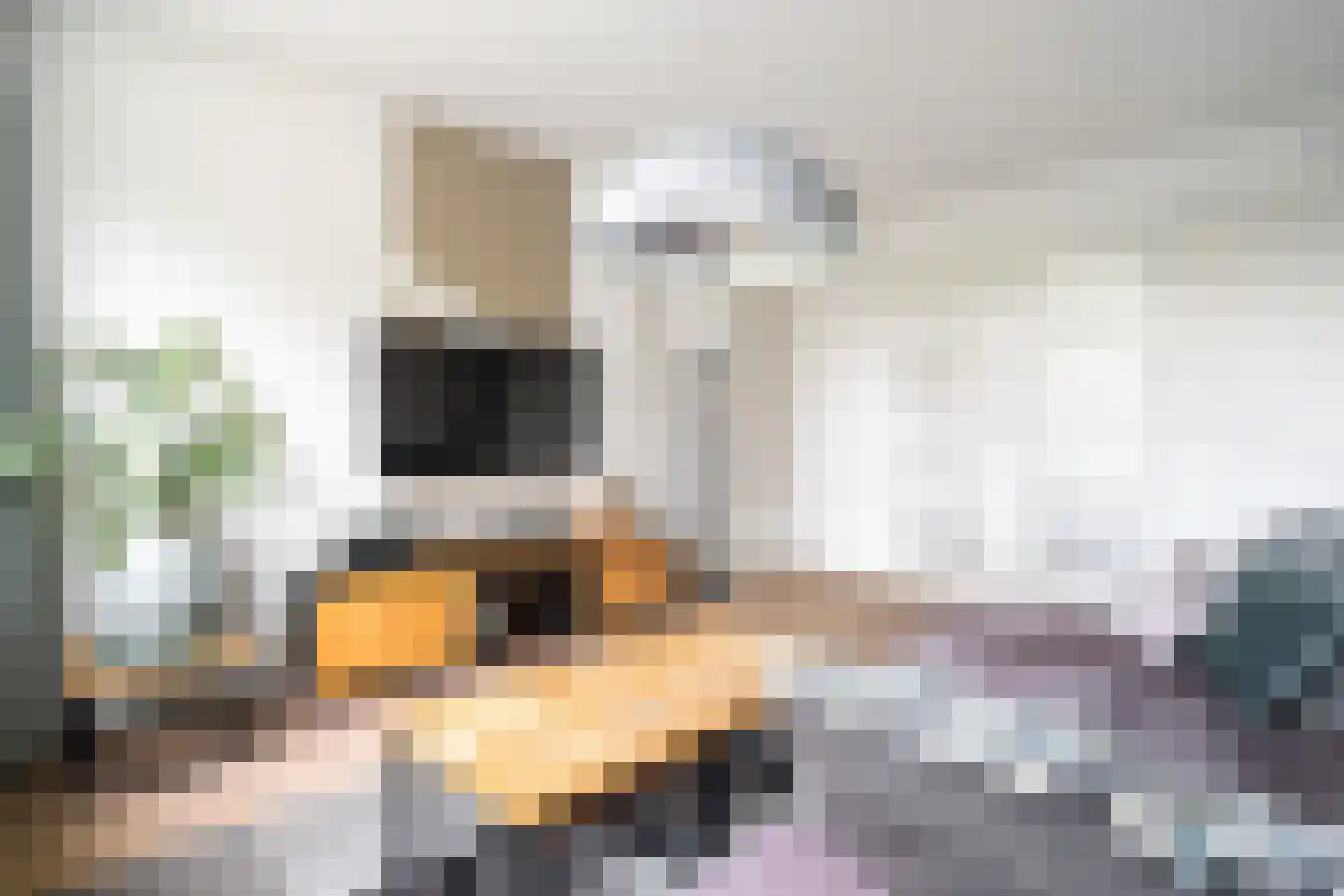 Couwenhoven 5006 Zeist thumbnail 19