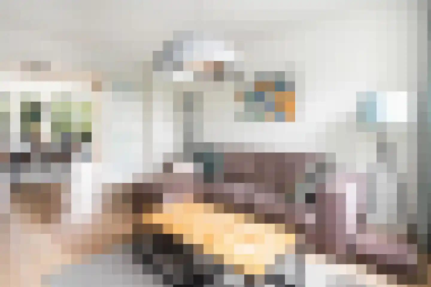 Couwenhoven 5006 Zeist thumbnail 21