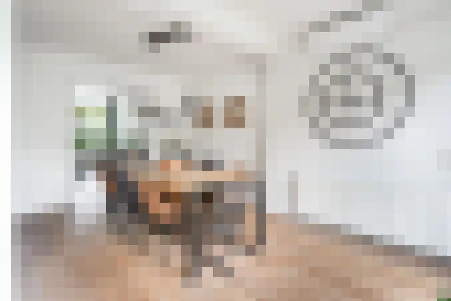 Couwenhoven 5006 Zeist thumbnail 24