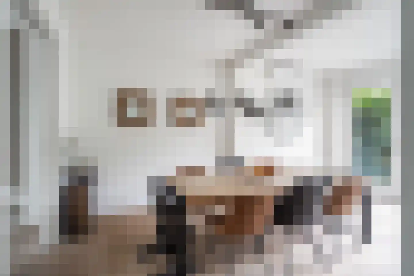 Couwenhoven 5006 Zeist thumbnail 25