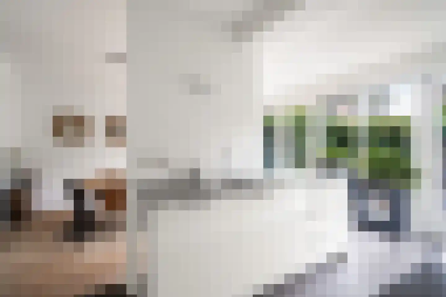 Couwenhoven 5006 Zeist thumbnail 31