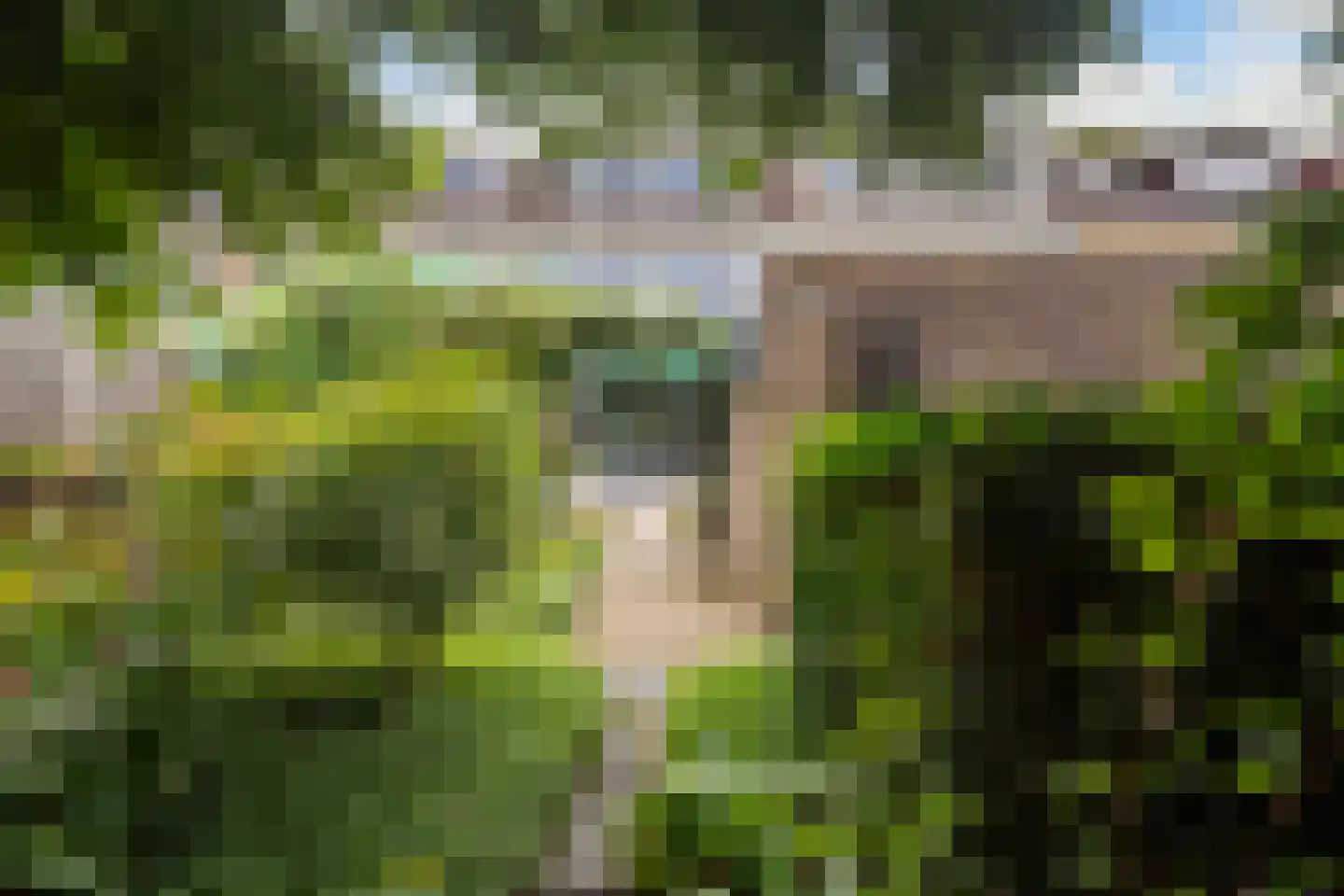 Couwenhoven 5006 Zeist thumbnail 4