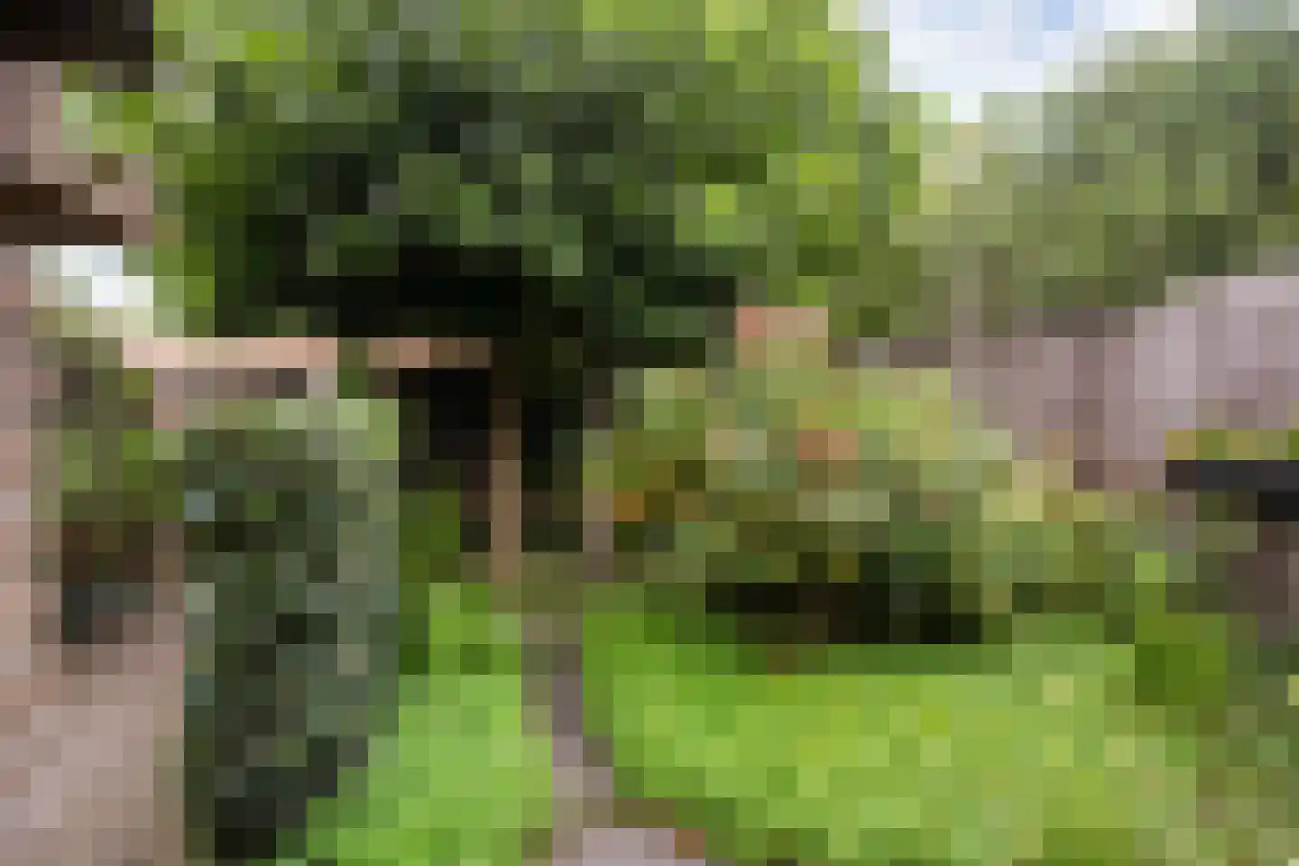 Couwenhoven 5006 Zeist thumbnail 45
