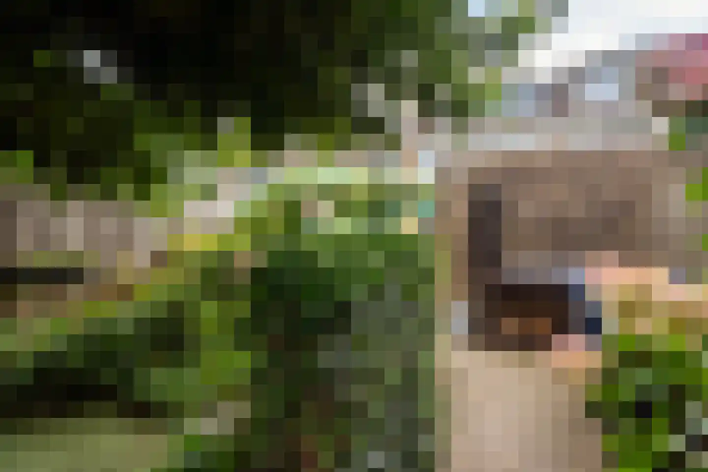 Couwenhoven 5006 Zeist thumbnail 47