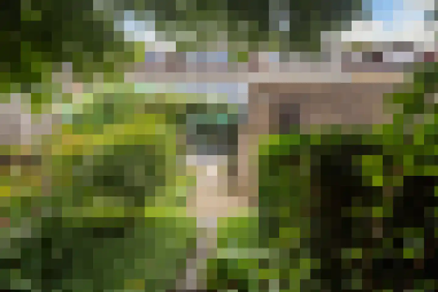 Couwenhoven 5006 Zeist thumbnail 48