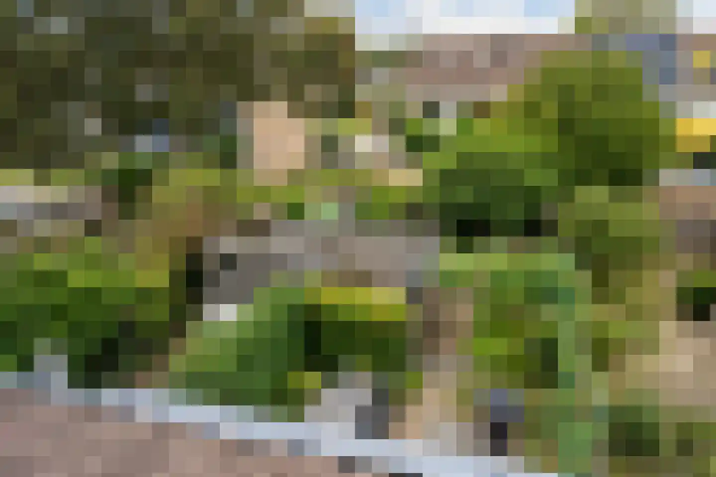 Couwenhoven 5006 Zeist thumbnail 52