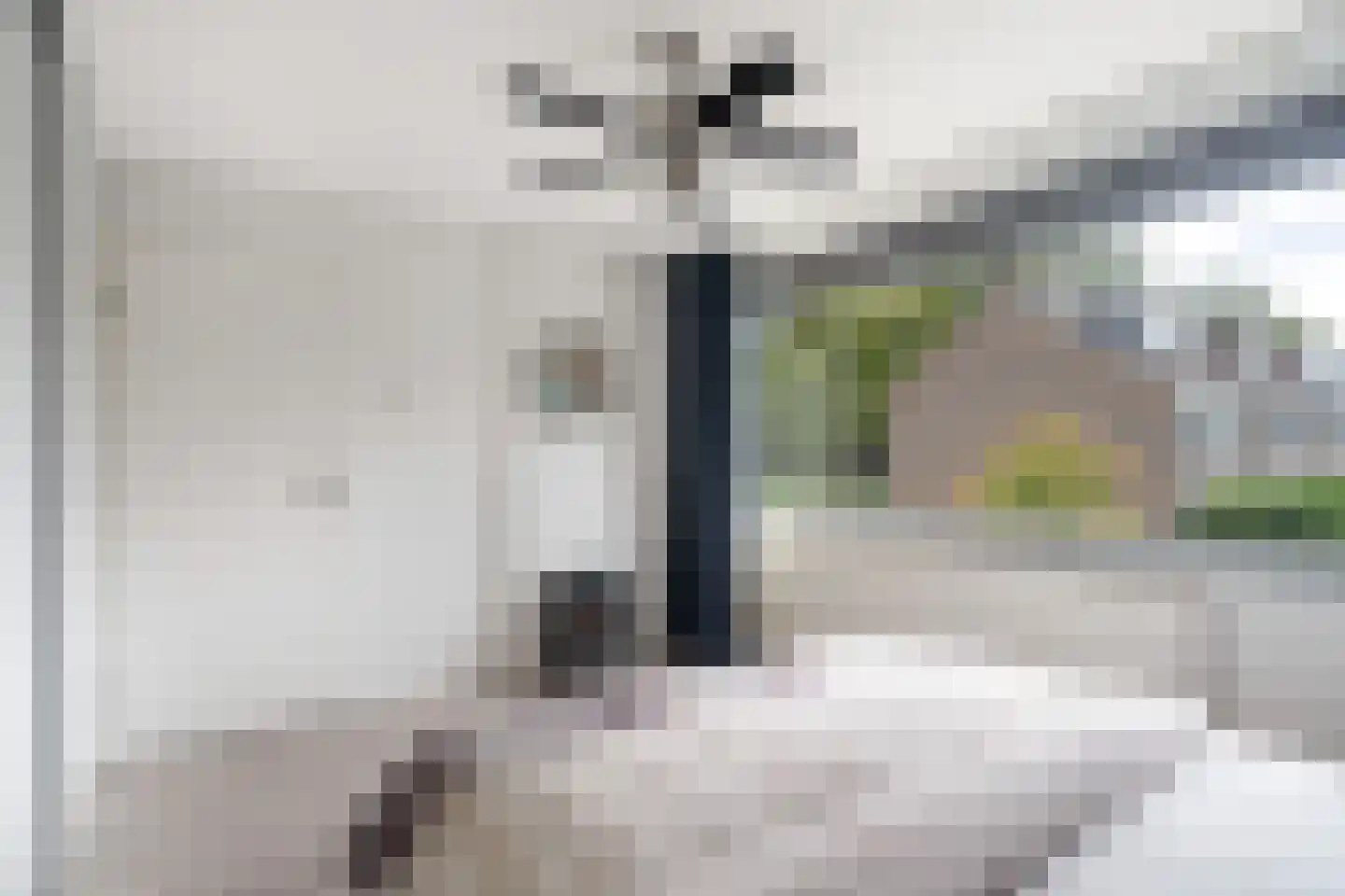 Couwenhoven 5006 Zeist thumbnail 59