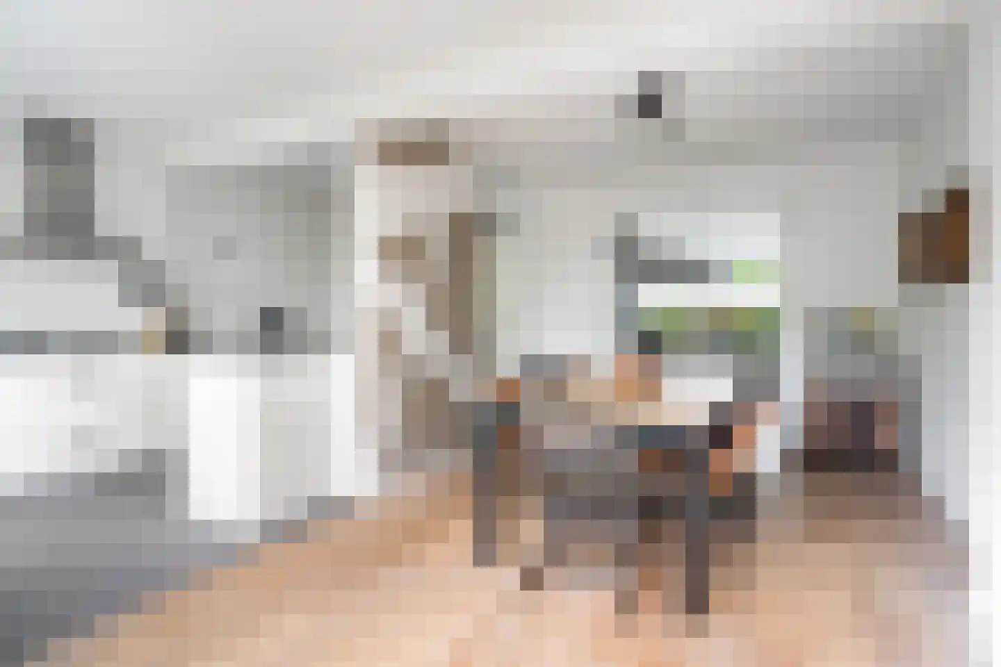 Couwenhoven 5006 Zeist thumbnail 6