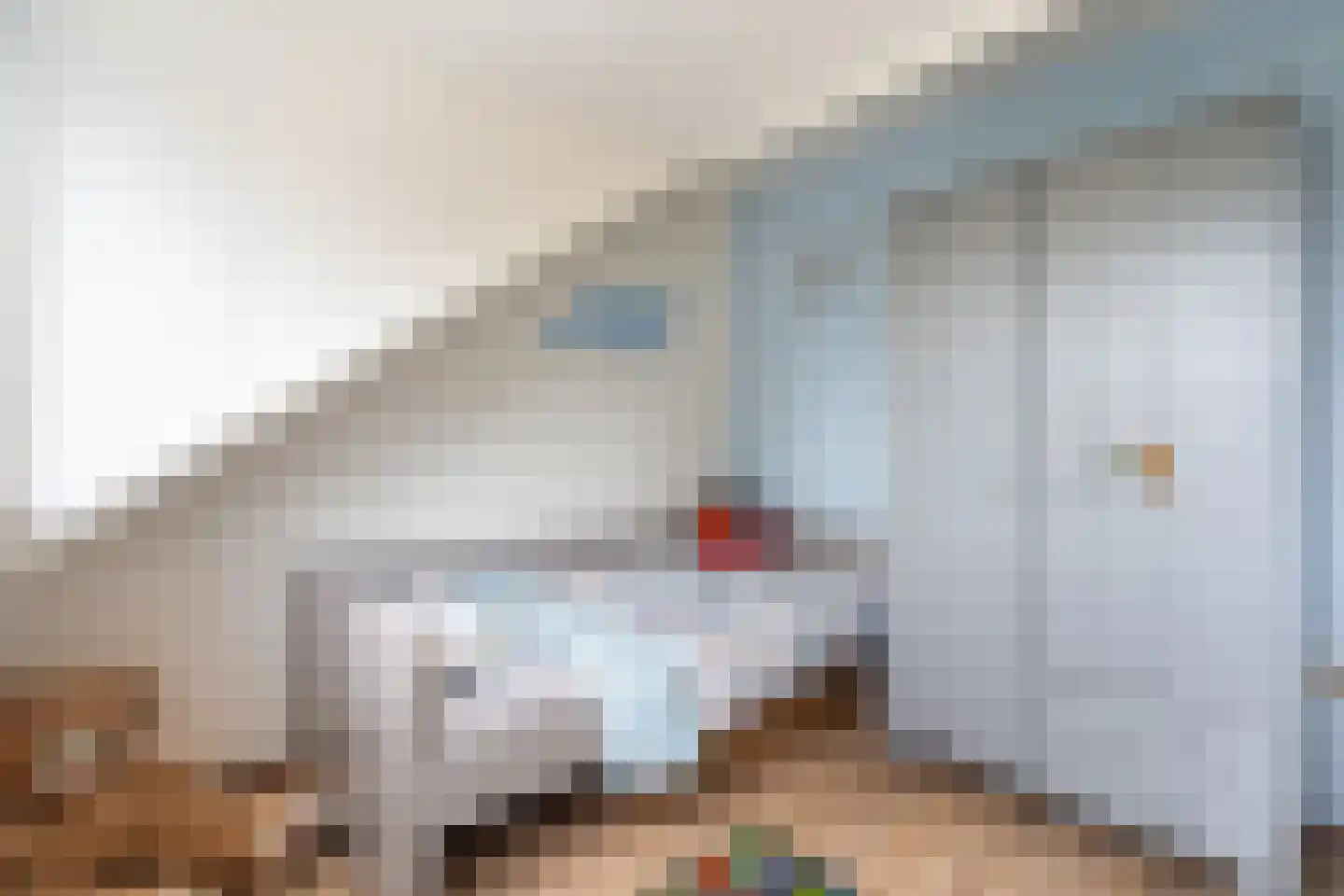 Couwenhoven 5006 Zeist thumbnail 77