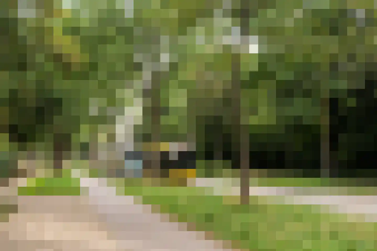 Couwenhoven 5006 Zeist thumbnail 80