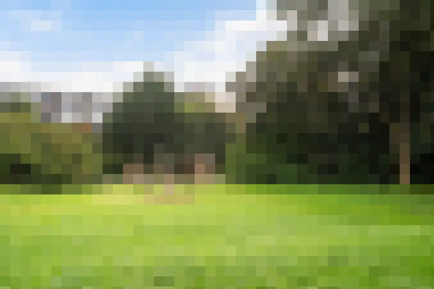 Couwenhoven 5006 Zeist thumbnail 81