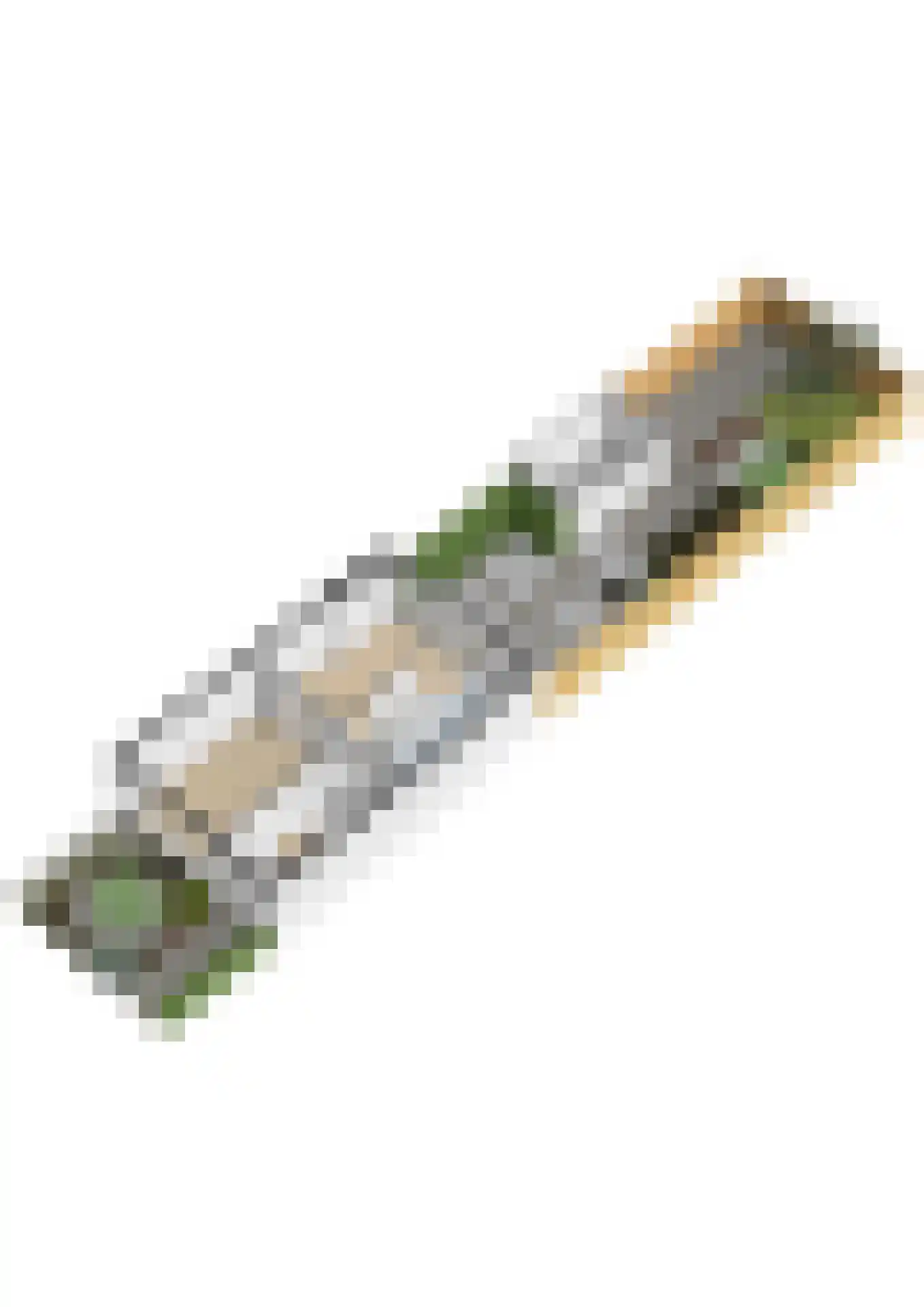 Couwenhoven 5006 Zeist thumbnail 83