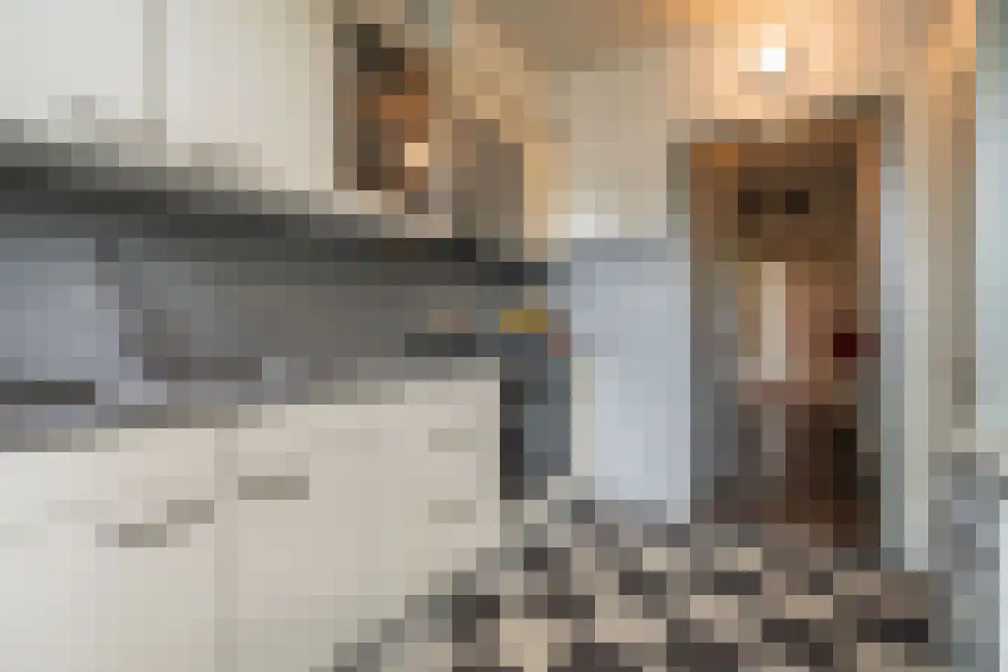 Couwenhoven 5011 Zeist thumbnail 10