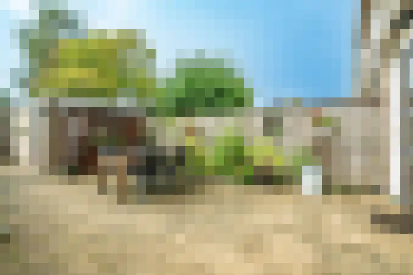 Couwenhoven 5011 Zeist thumbnail 18