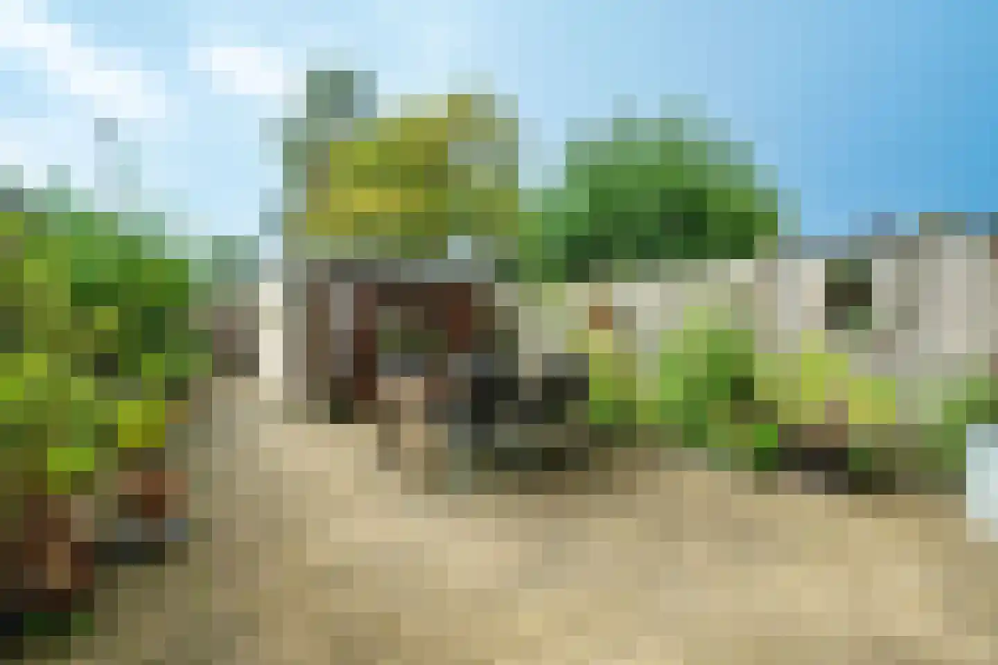 Couwenhoven 5011 Zeist thumbnail 19