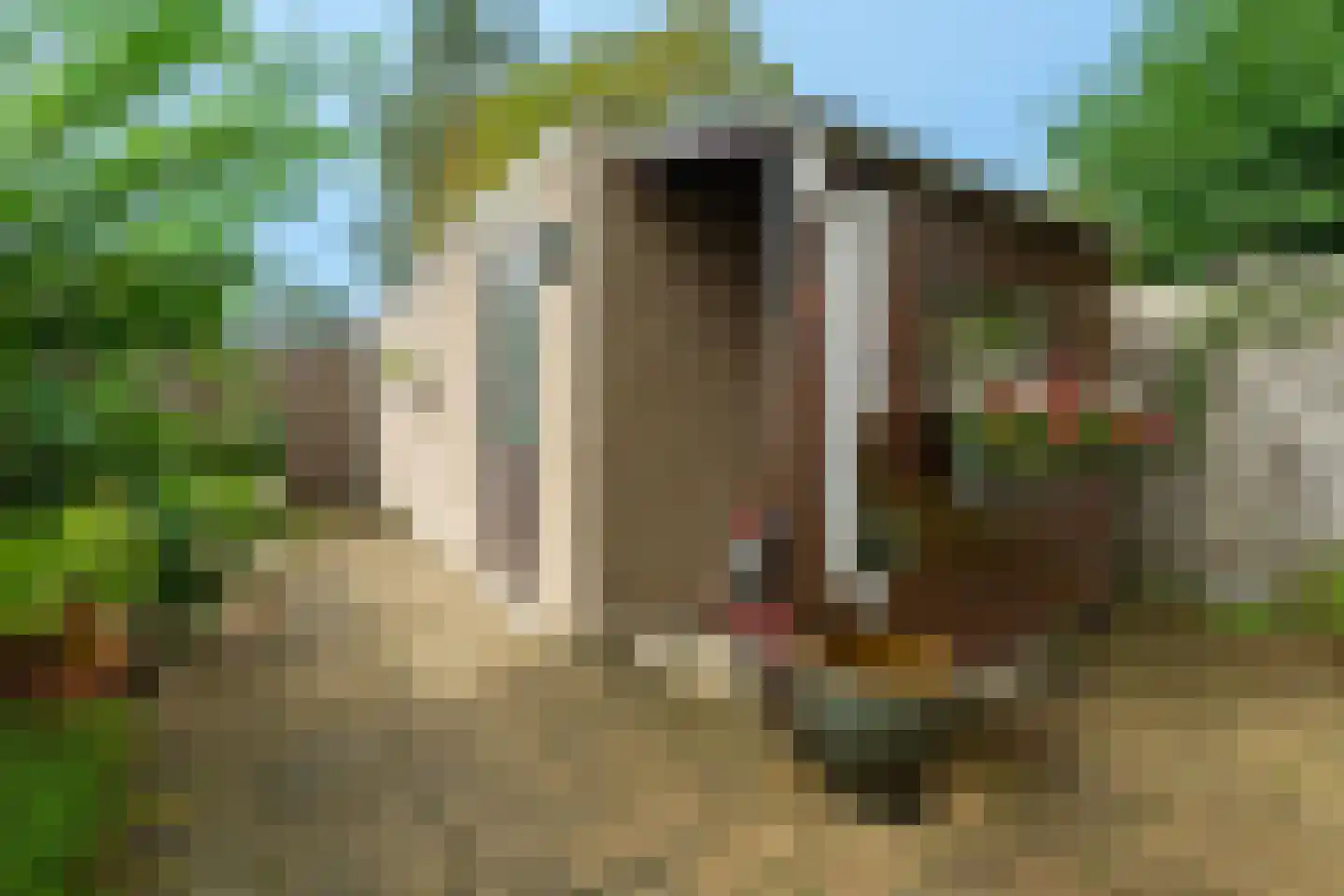 Couwenhoven 5011 Zeist thumbnail 20
