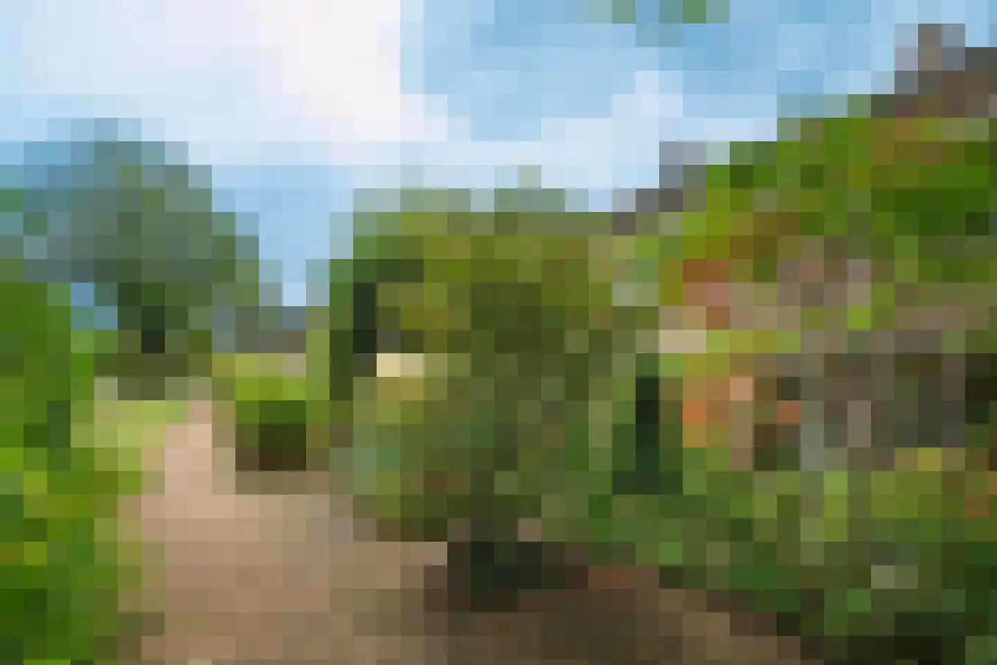 Couwenhoven 5011 Zeist thumbnail 21