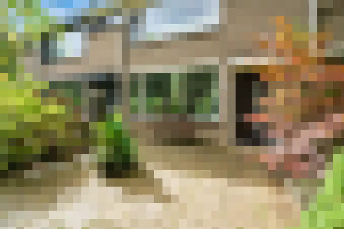 Couwenhoven 5011 Zeist thumbnail 22
