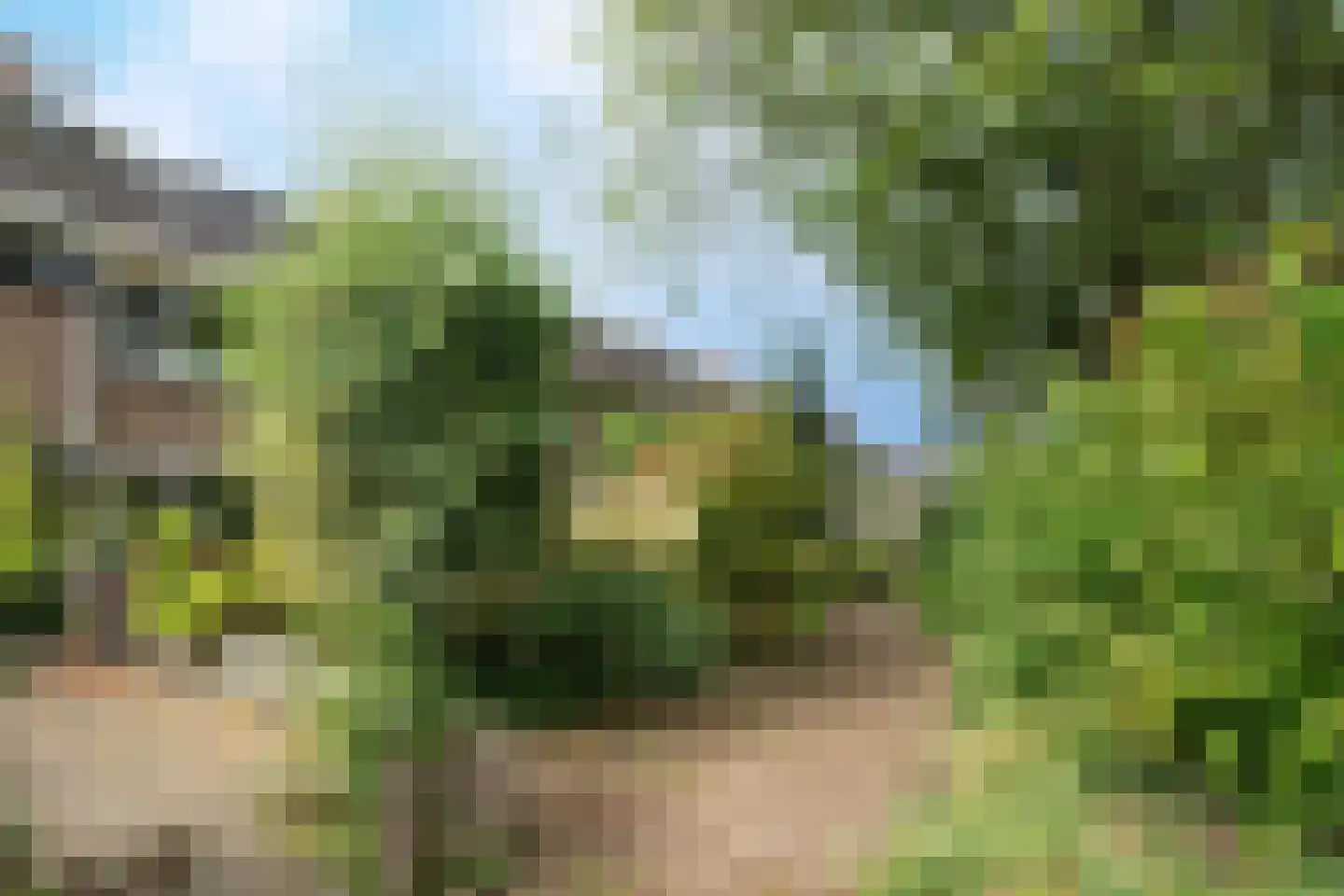 Couwenhoven 5011 Zeist thumbnail 23