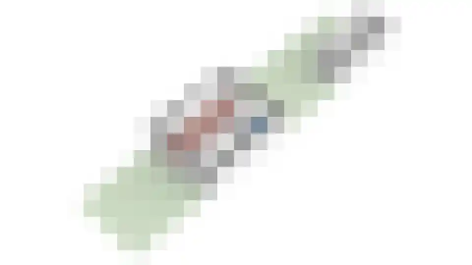 Couwenhoven 5011 Zeist thumbnail 30