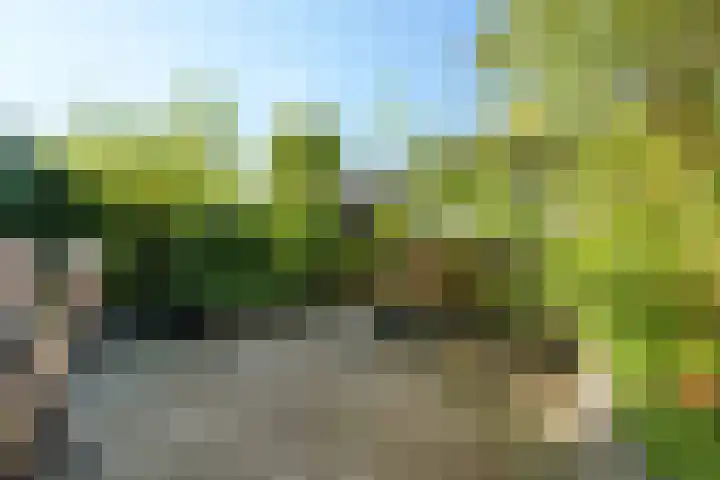 Couwenhoven 5023 Zeist thumbnail 20