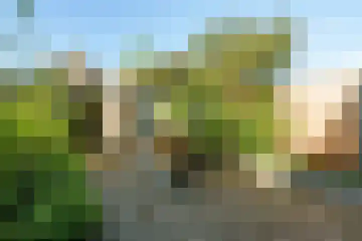Couwenhoven 5023 Zeist thumbnail 21