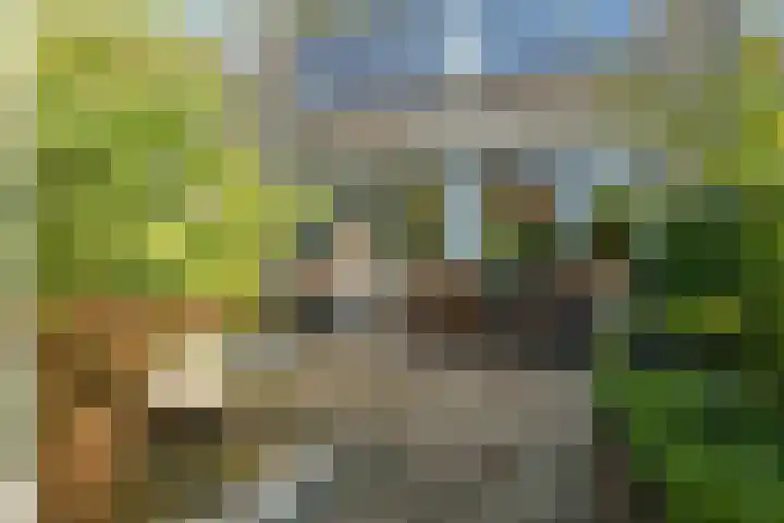 Couwenhoven 5023 Zeist thumbnail 22