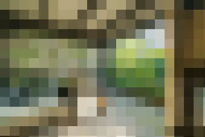 Couwenhoven 5023 Zeist thumbnail 23