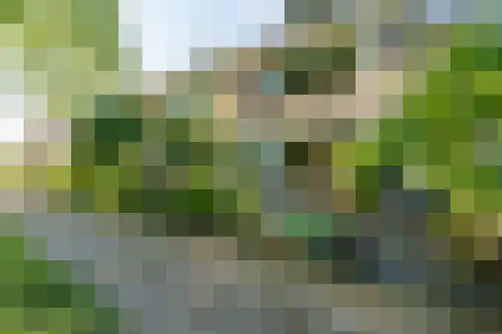 Couwenhoven 5023 Zeist thumbnail 26