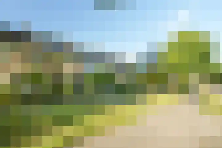 Couwenhoven 5023 Zeist thumbnail 27